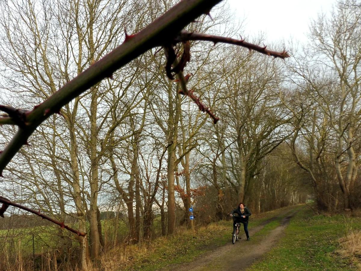 Zimmer In Hafennaehe Dierhagen Exterior foto